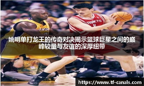 姚明单打龙王的传奇对决揭示篮球巨星之间的巅峰较量与友谊的深厚纽带